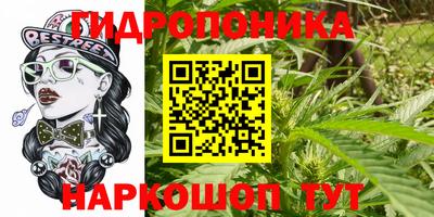 ГАЛЛЮЦИНОГЕННЫЕ ГРИБЫ Конаково
