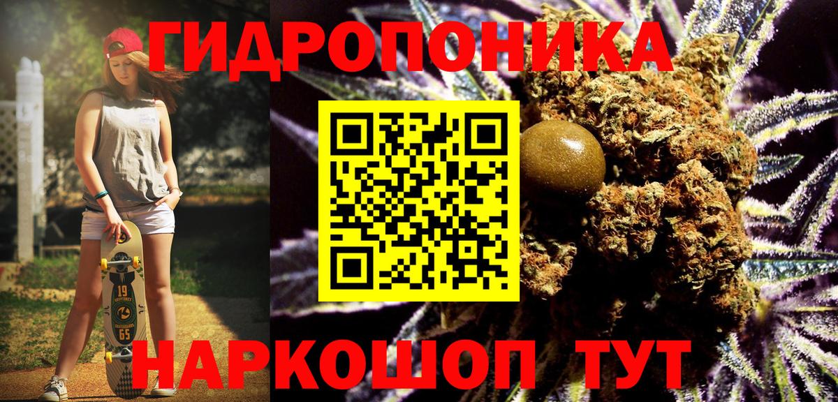 Бошки Шишки семена Балтийск